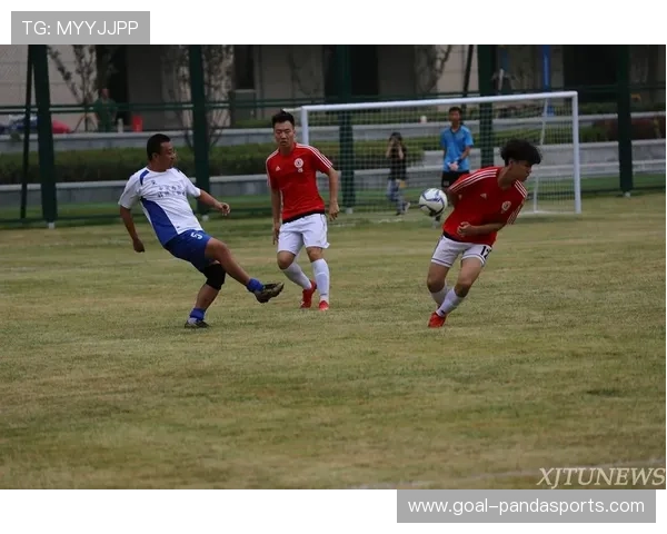 绿茵场上奔跑的梦想一位热爱足球的少年球星成长记